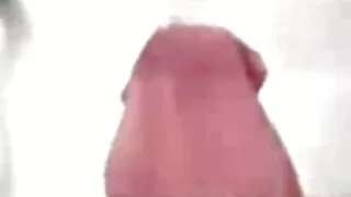 Draugs fucks negausīgs Brunete. seksa filmas online